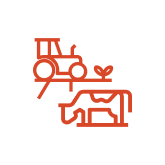 DairyAgriculture_HotChilli